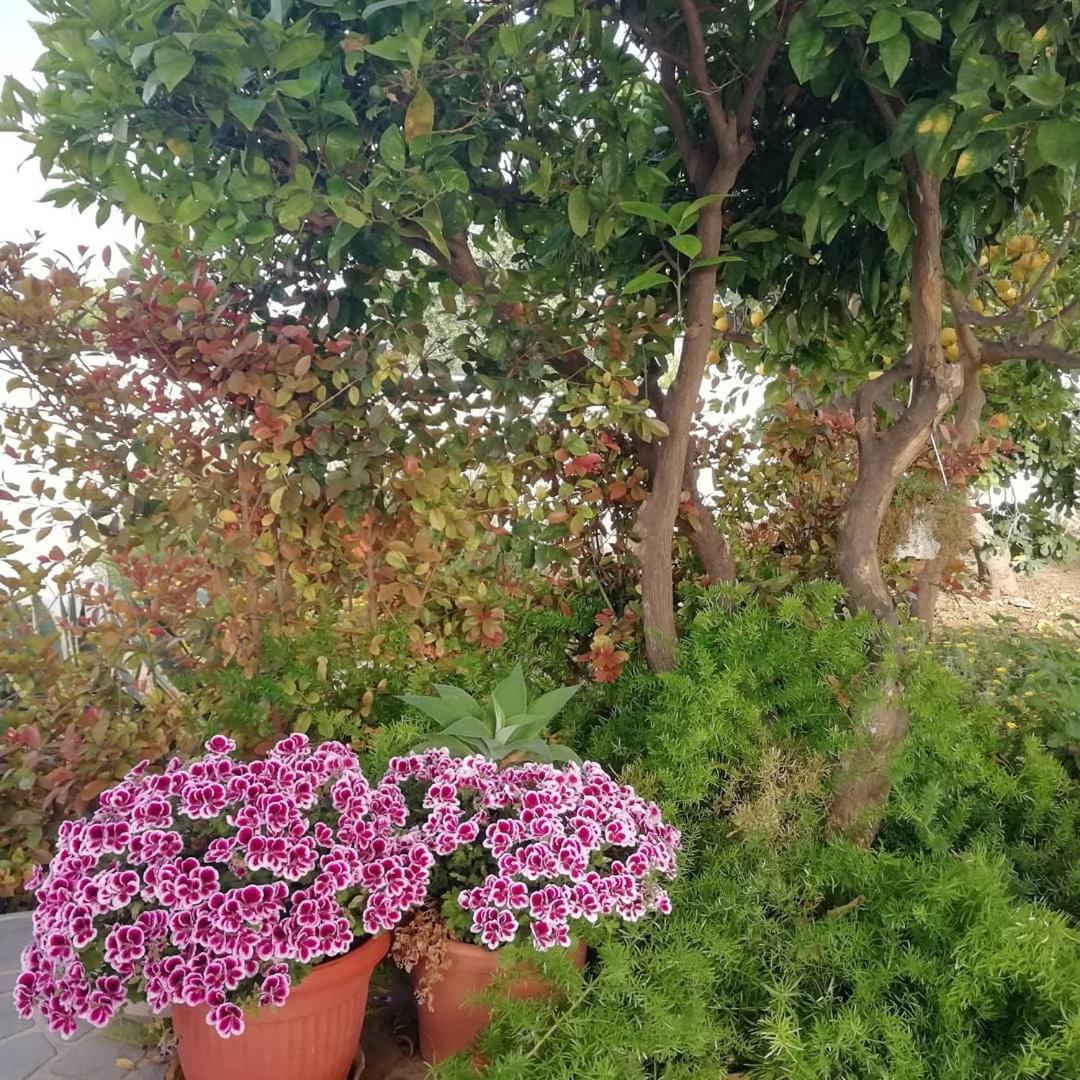 Suitetrails - Home Scala dei Turchi B&B