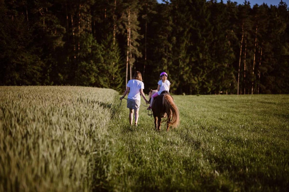 Stixenhof - Ferienwohnung Heidi Nehmeier - Housity