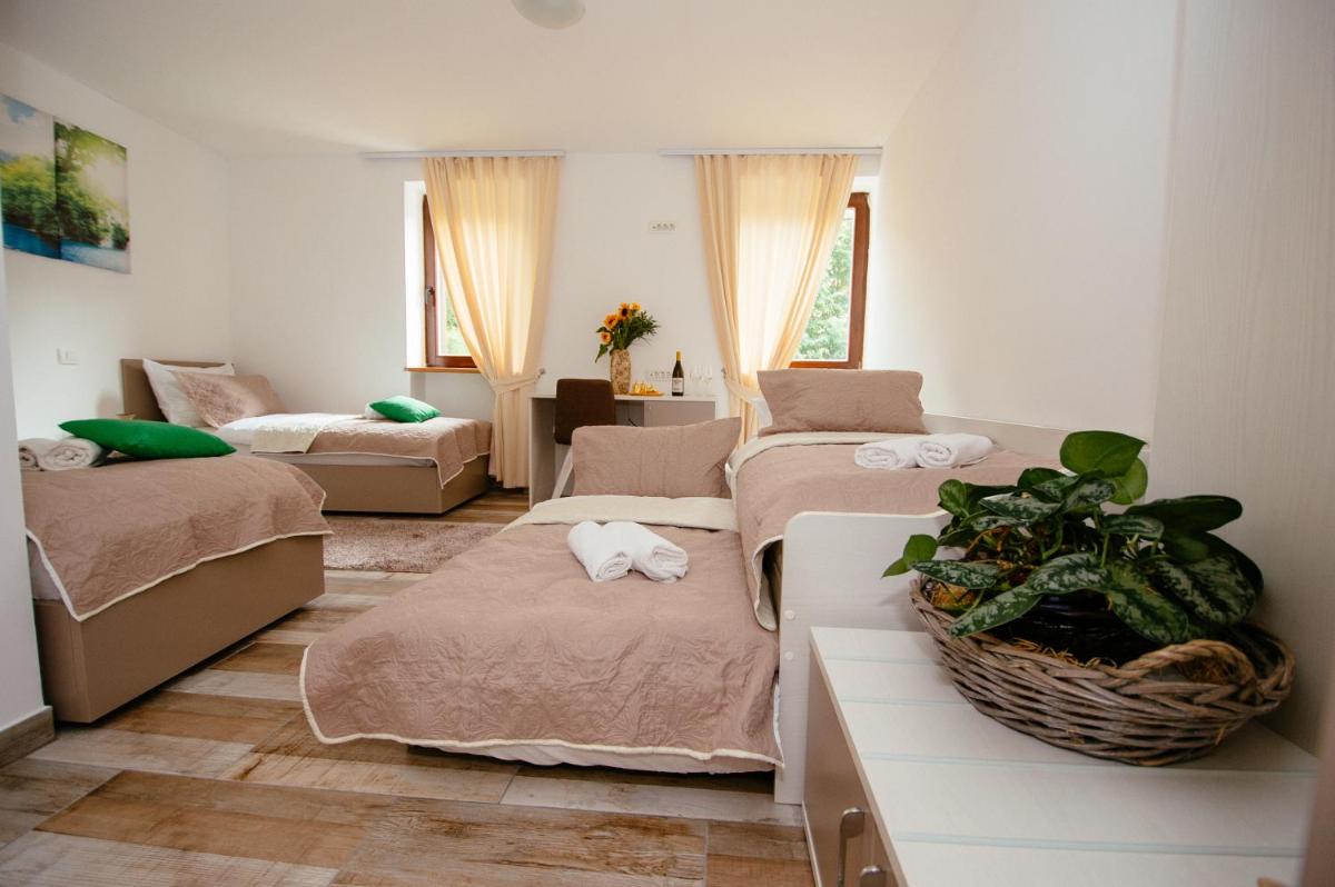 Sunny Rooms - Housity