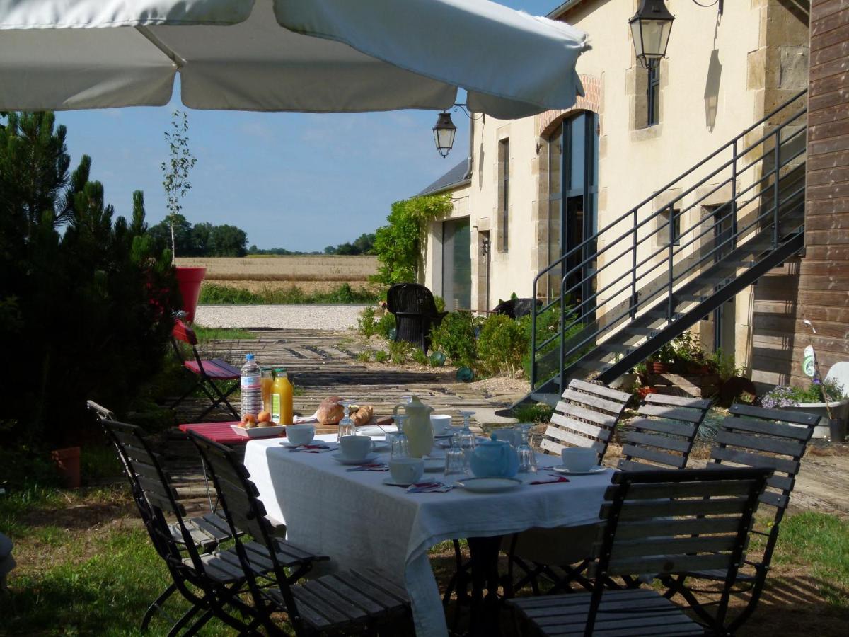Le Briou - Housity