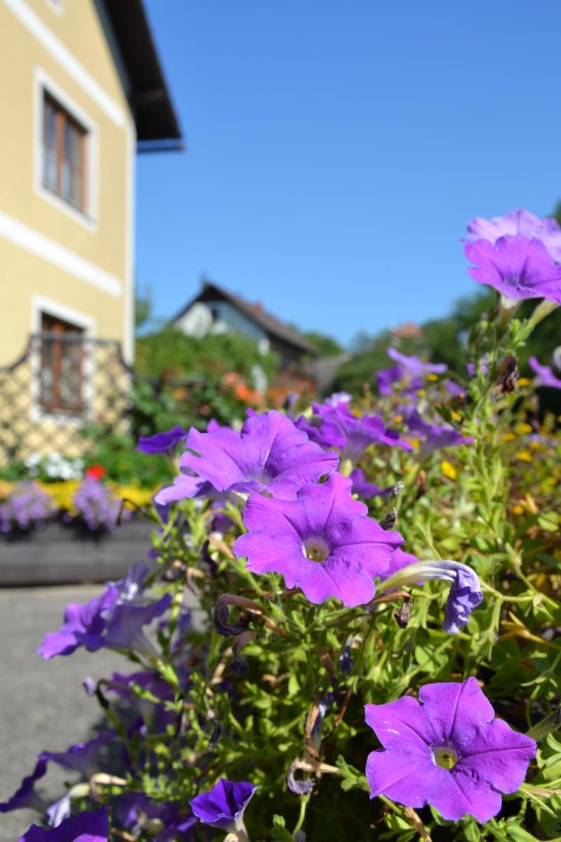 Haus Lindenhofer - Housity