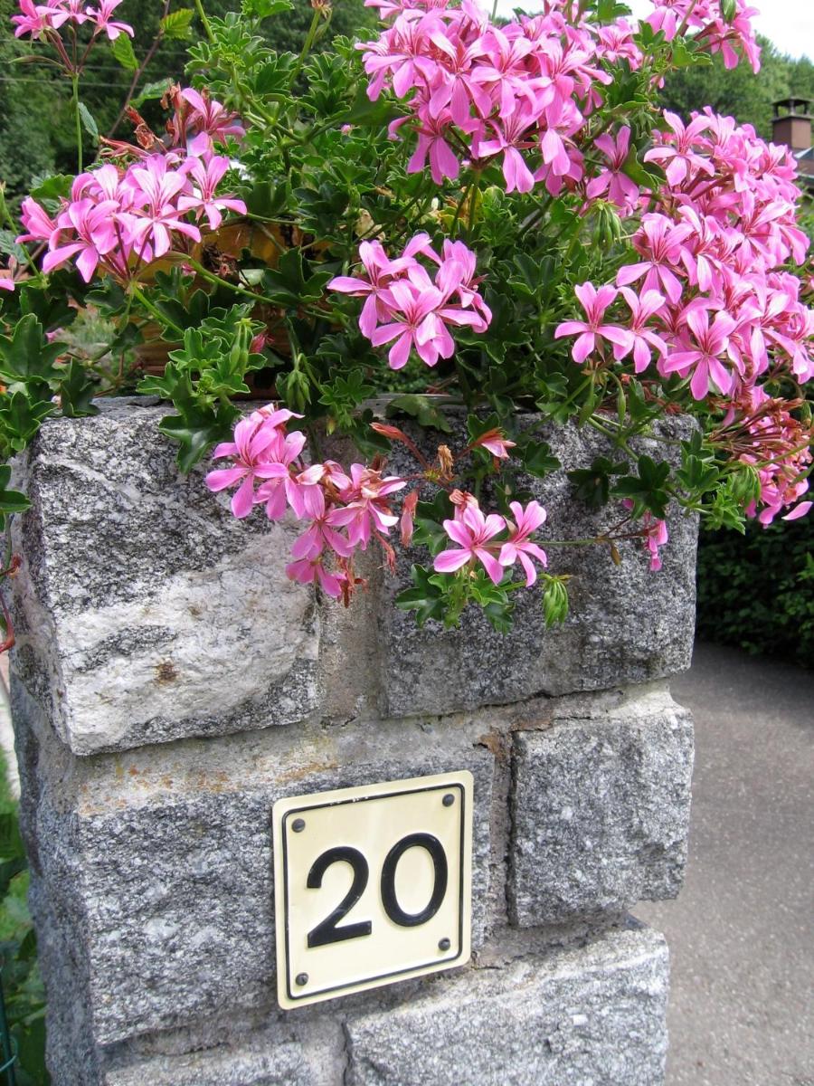 Gîte Plein Sud - Housity