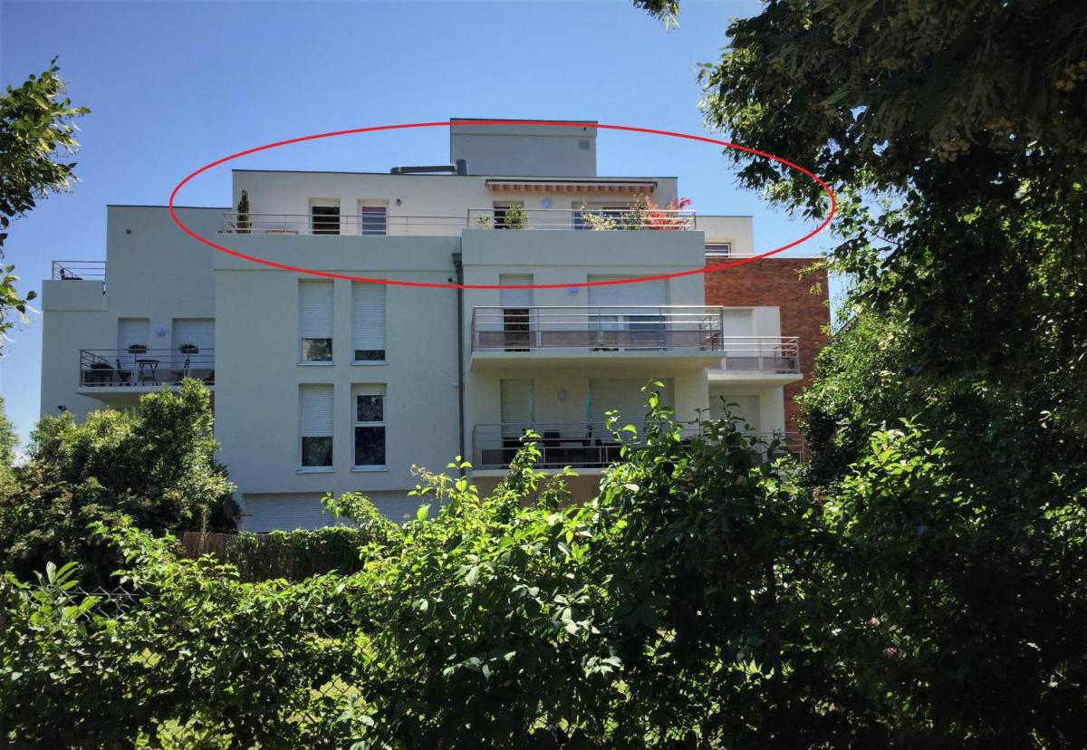 Bel appartement - Housity