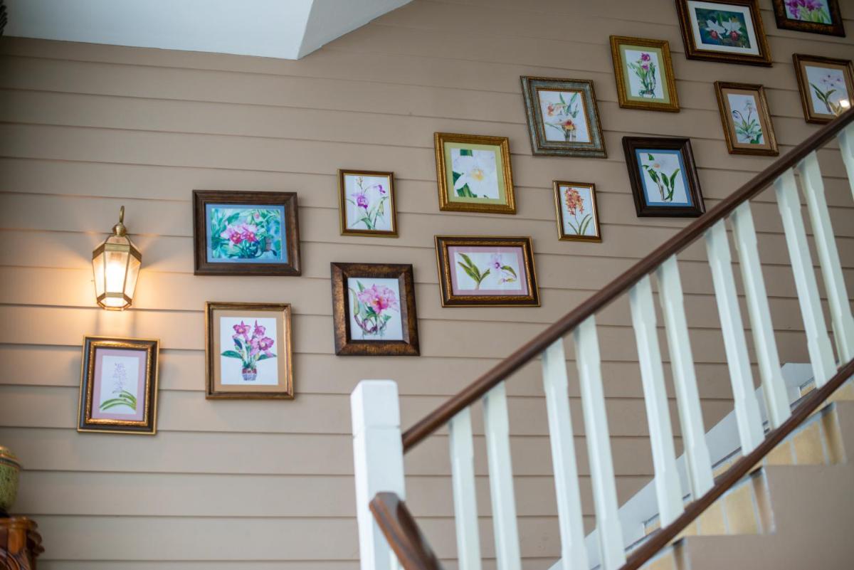 The Orchid House 153 - Hizvo