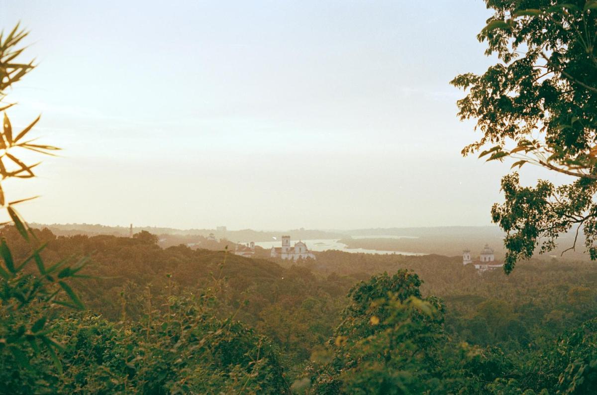 Gallery image of The Postcard Ayurveda Retreat, Old Goa, A Sitaram Ayurveda Experience in Old Goa