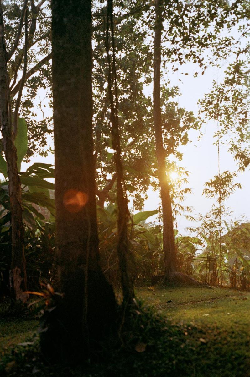 Gallery image of The Postcard Ayurveda Retreat, Old Goa, A Sitaram Ayurveda Experience in Old Goa