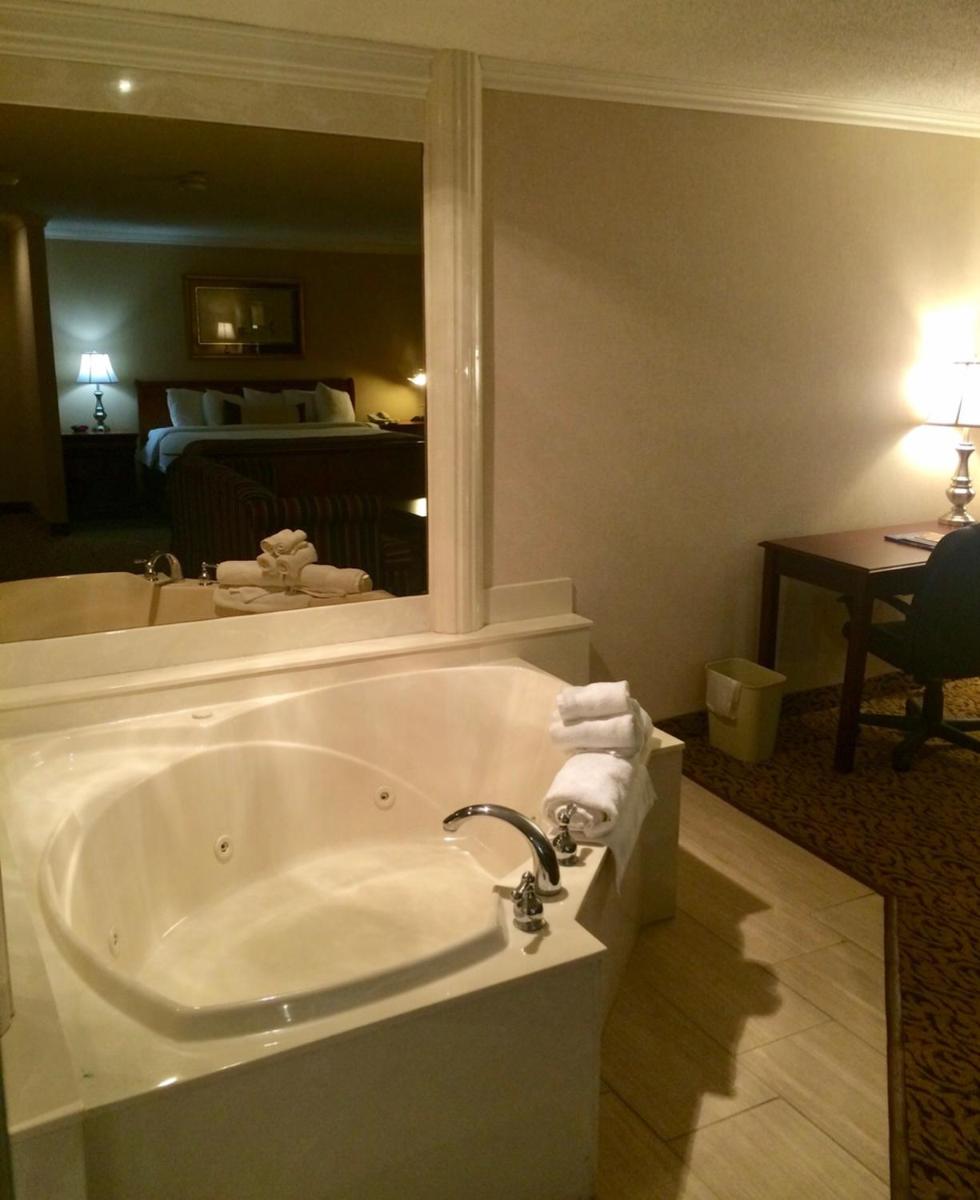 Wingate by Wyndham Detroit Metro Airport - Housity