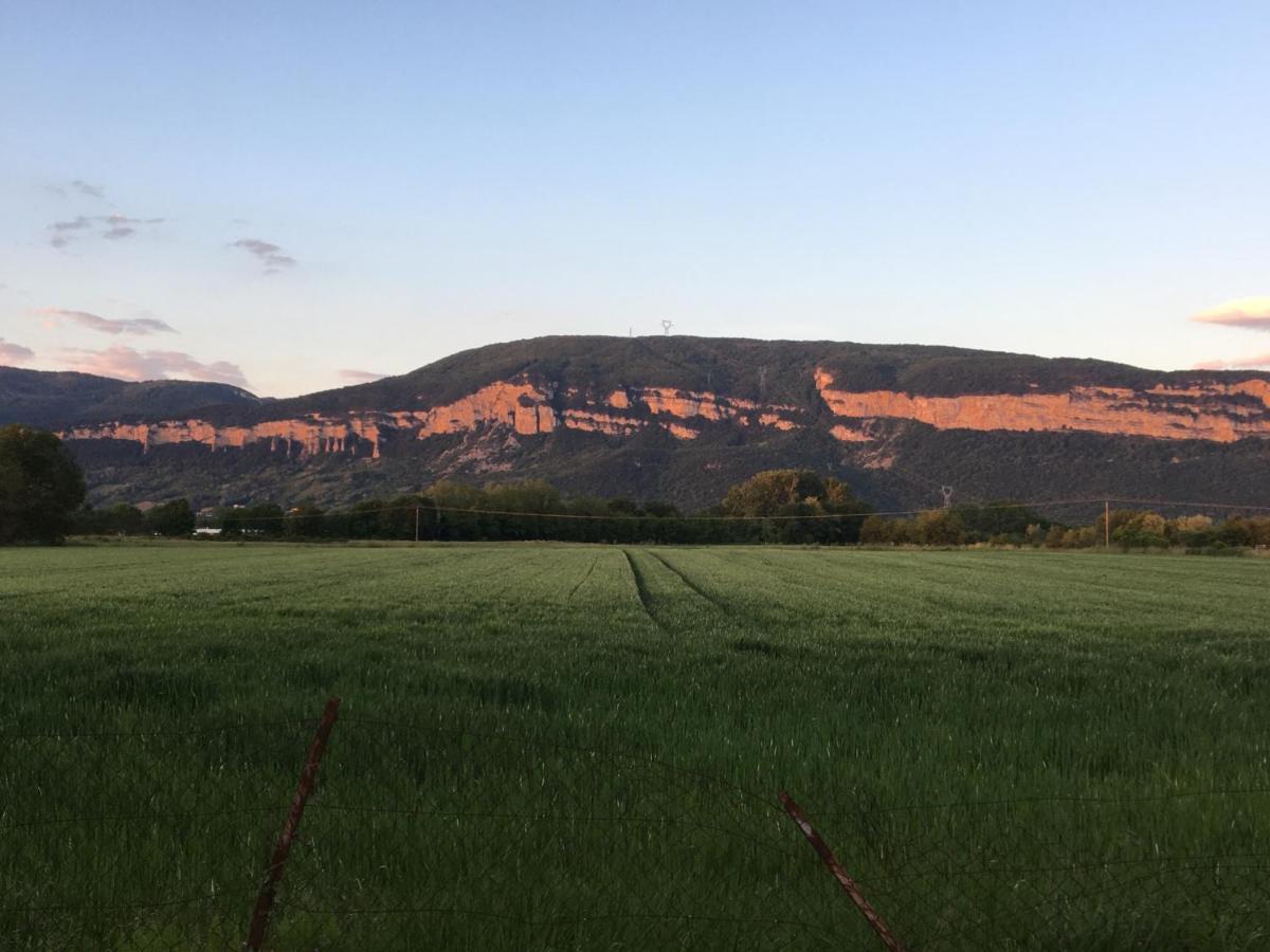 MONTALIEU SEJOUR 2 Maisons, Les tulipes ou Les Bambous - Housity