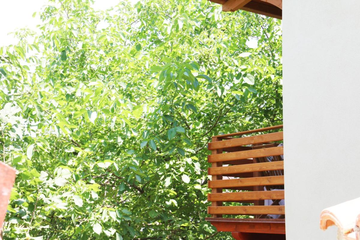 Casa Vacanze il Giardino - Appartamento Agrifoglio - Housity