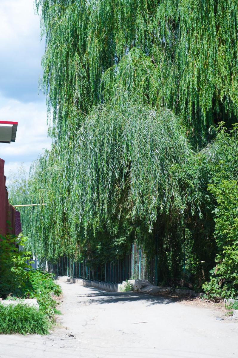 Boutique Hotel Akvatorya - Housity