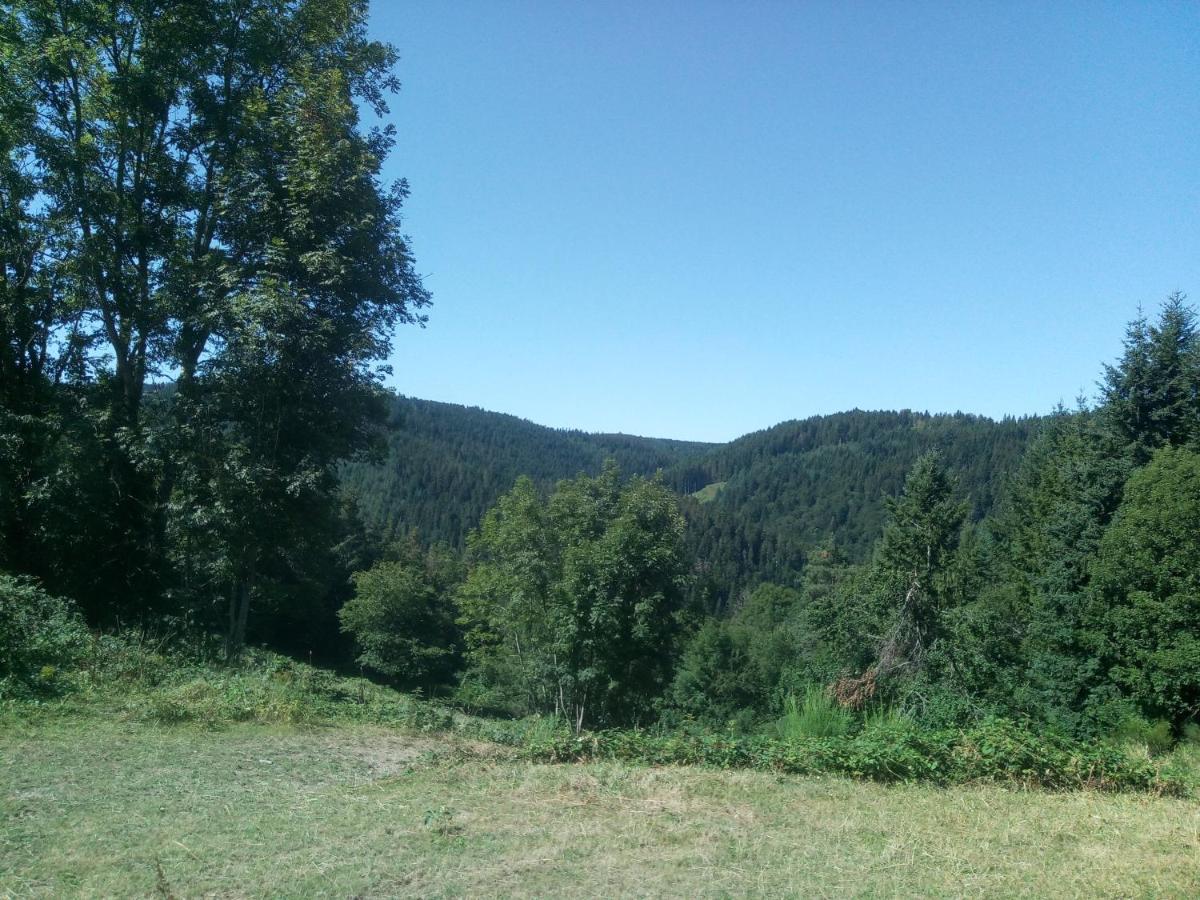Cabane - Housity
