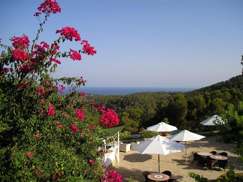 Paisaje cerca de este hotel