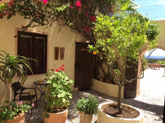 Jardín al aire libre en Agroturismo Can Talaias San CArlos