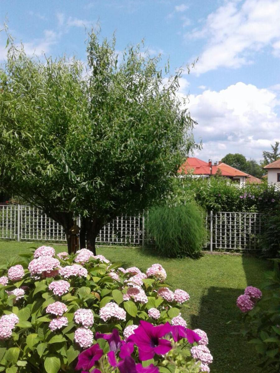 Apartment Elma - Housity