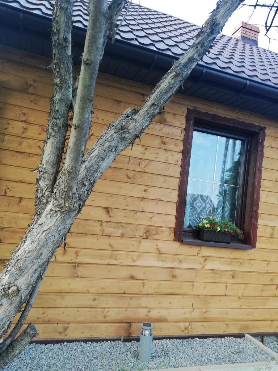 120-letnia chatka drewniana - Housity