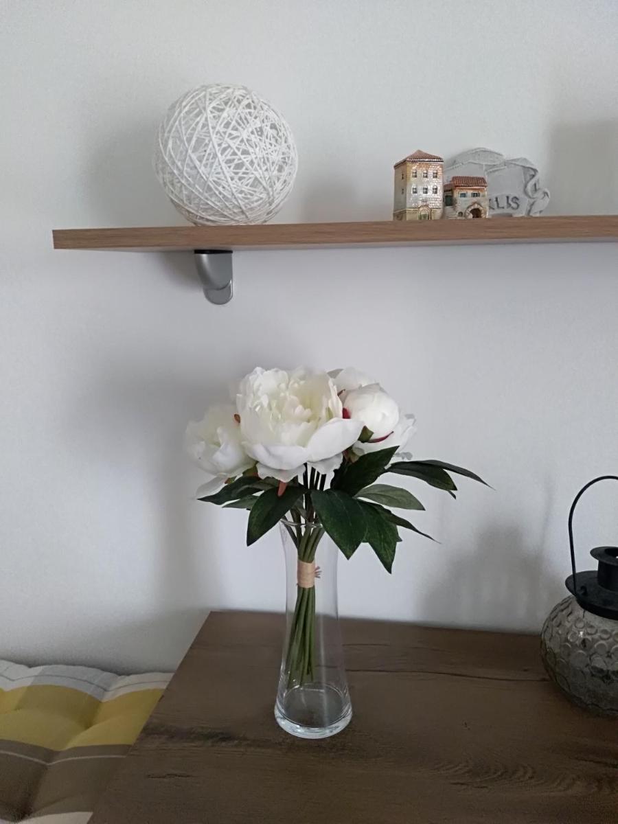 Apartment Fran - Housity