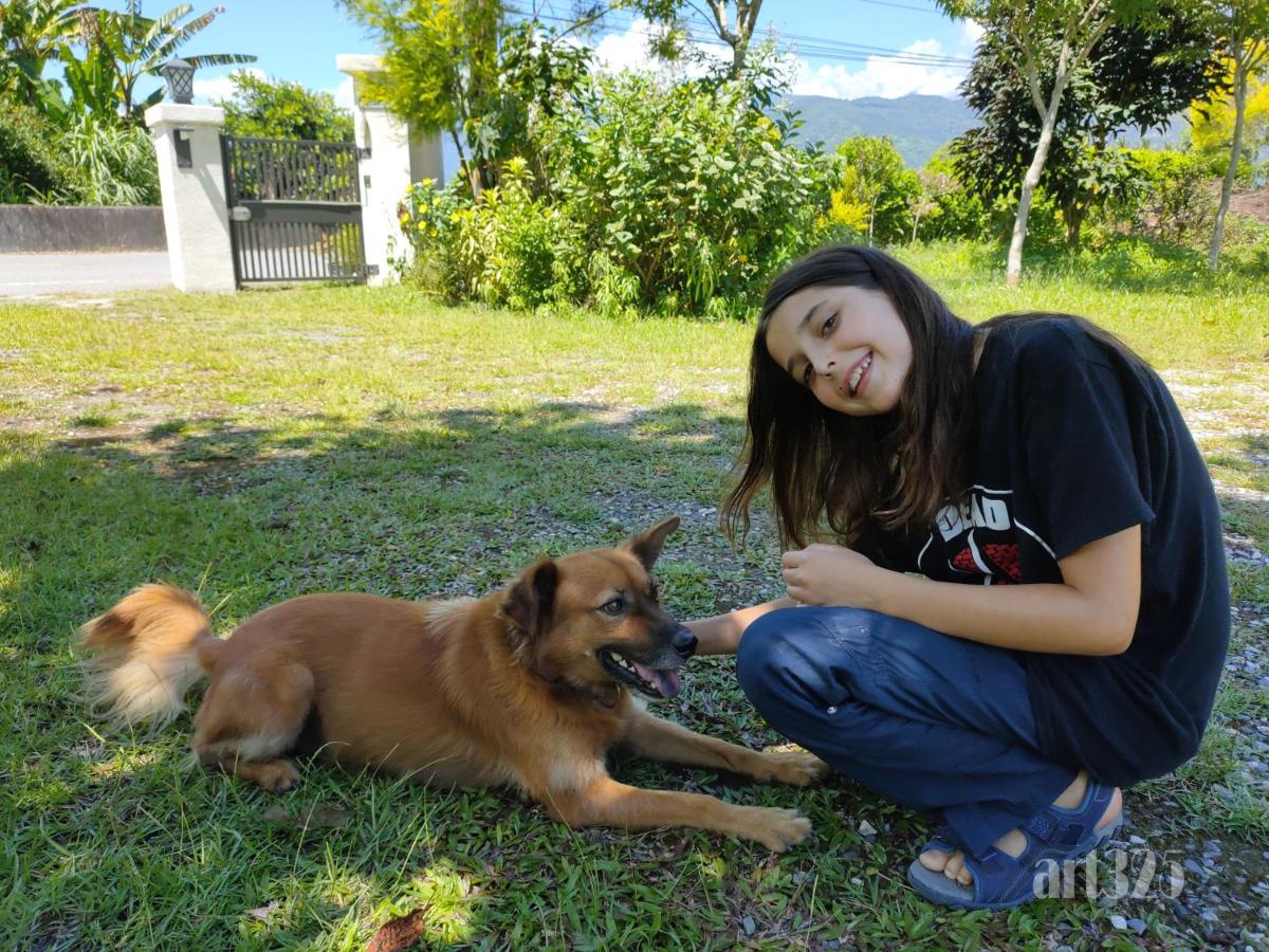 Yi Tian Homestay - Housity