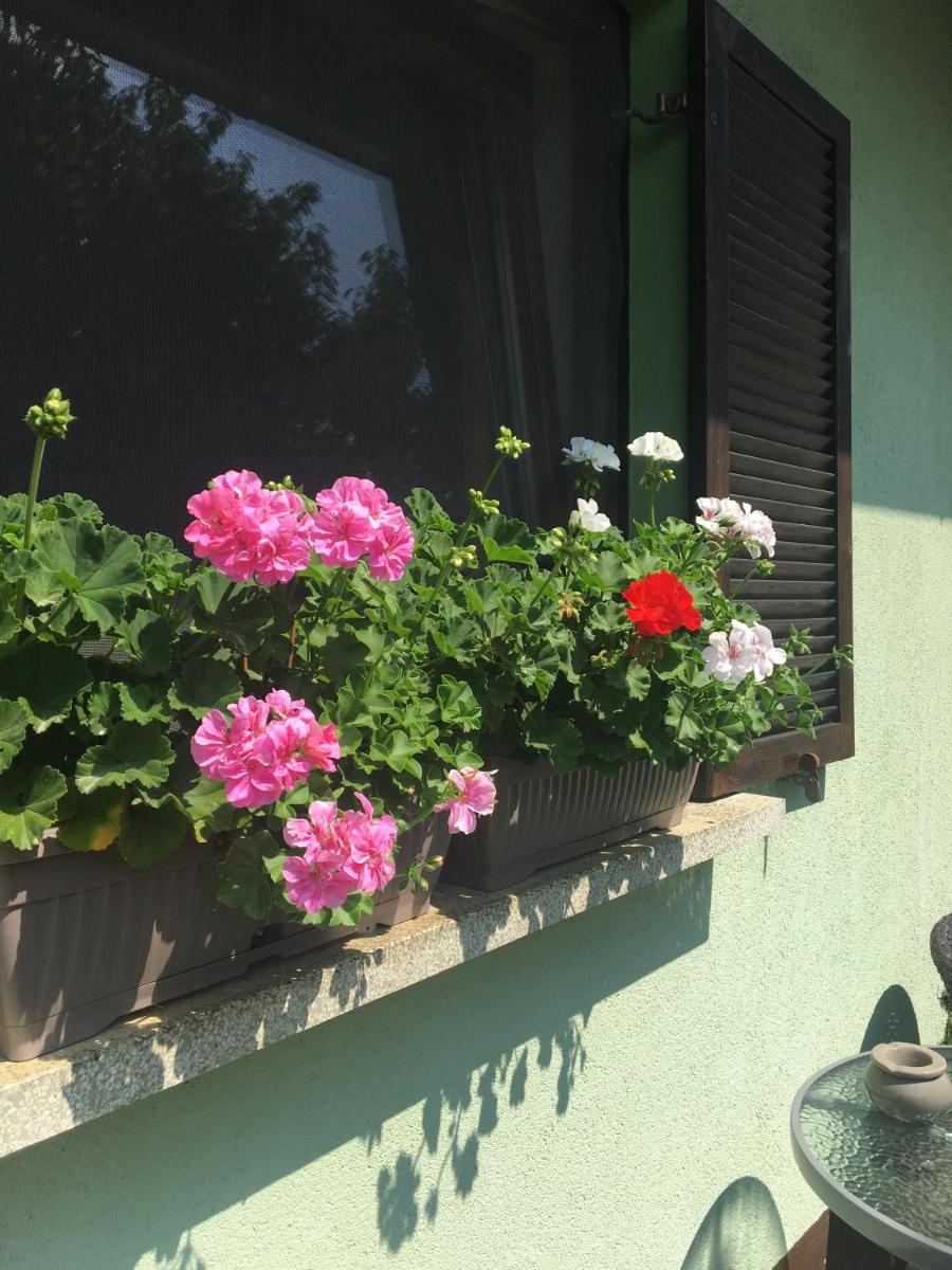 Holiday Home Mađerka - Housity