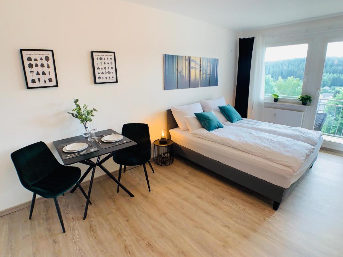 Komfortables Apartment in Bad Elster mit Netflix - Housity