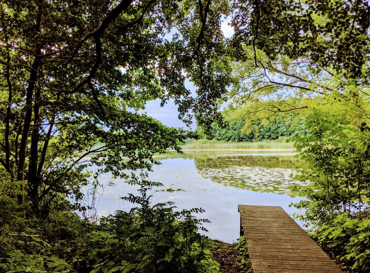 Ferienhaus am See - Housity