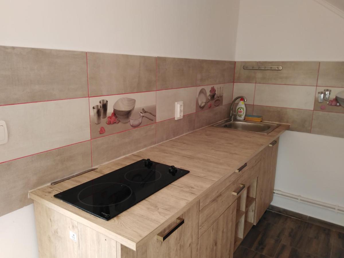 Pensiunea Burciu - Housity