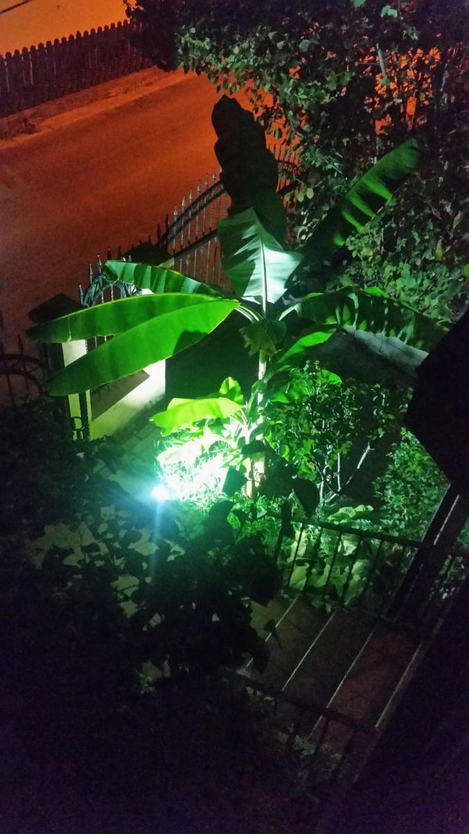 Misko's Guest House - Housity