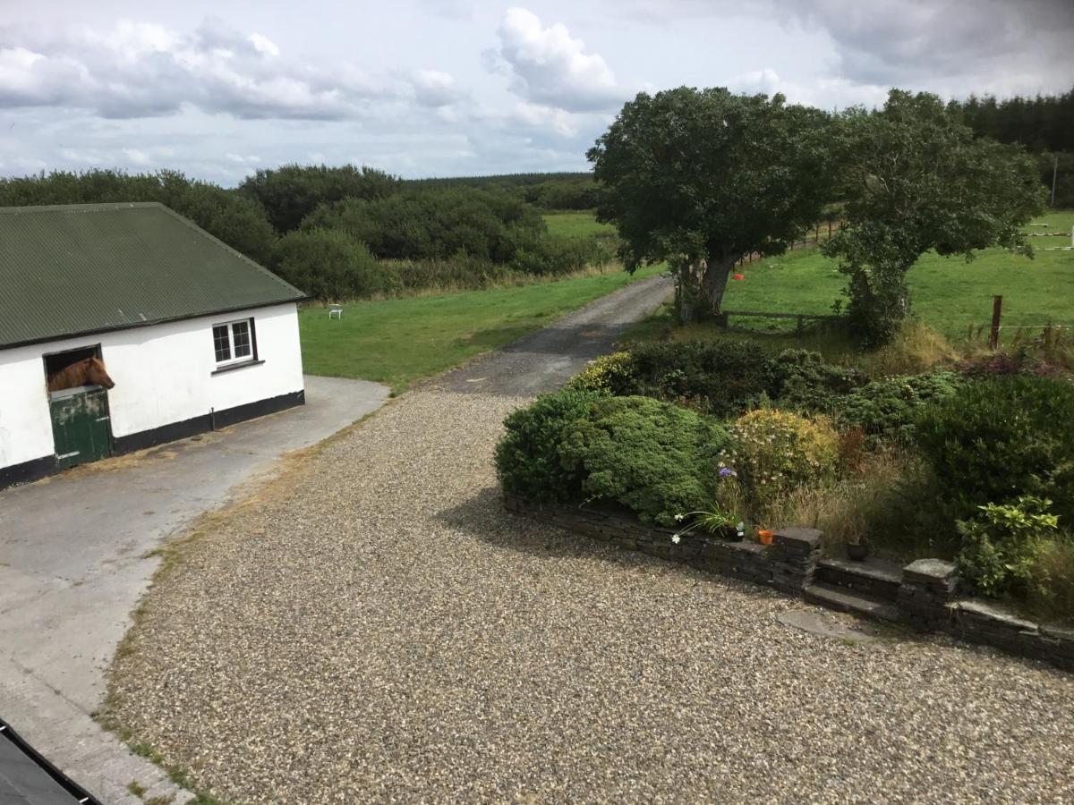 Dromelihy House Stud - Housity