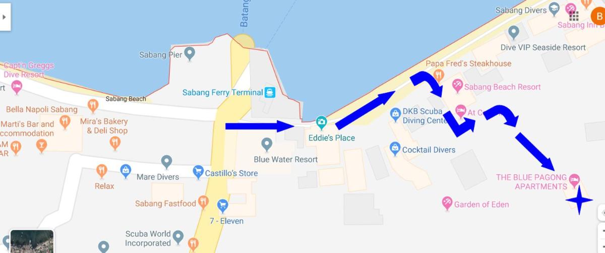 The Blue Pagong - Housity