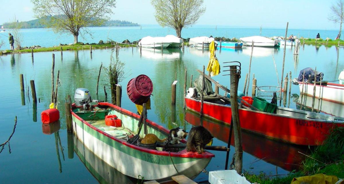 B&B Il Glicine - Housity