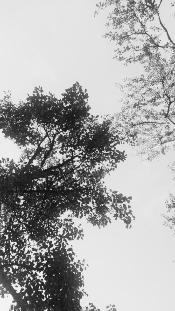 L'adresse à Besançon - Housity