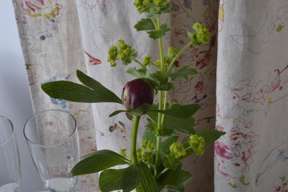Romantisches Bed&Breakfast Apfelstern - Housity