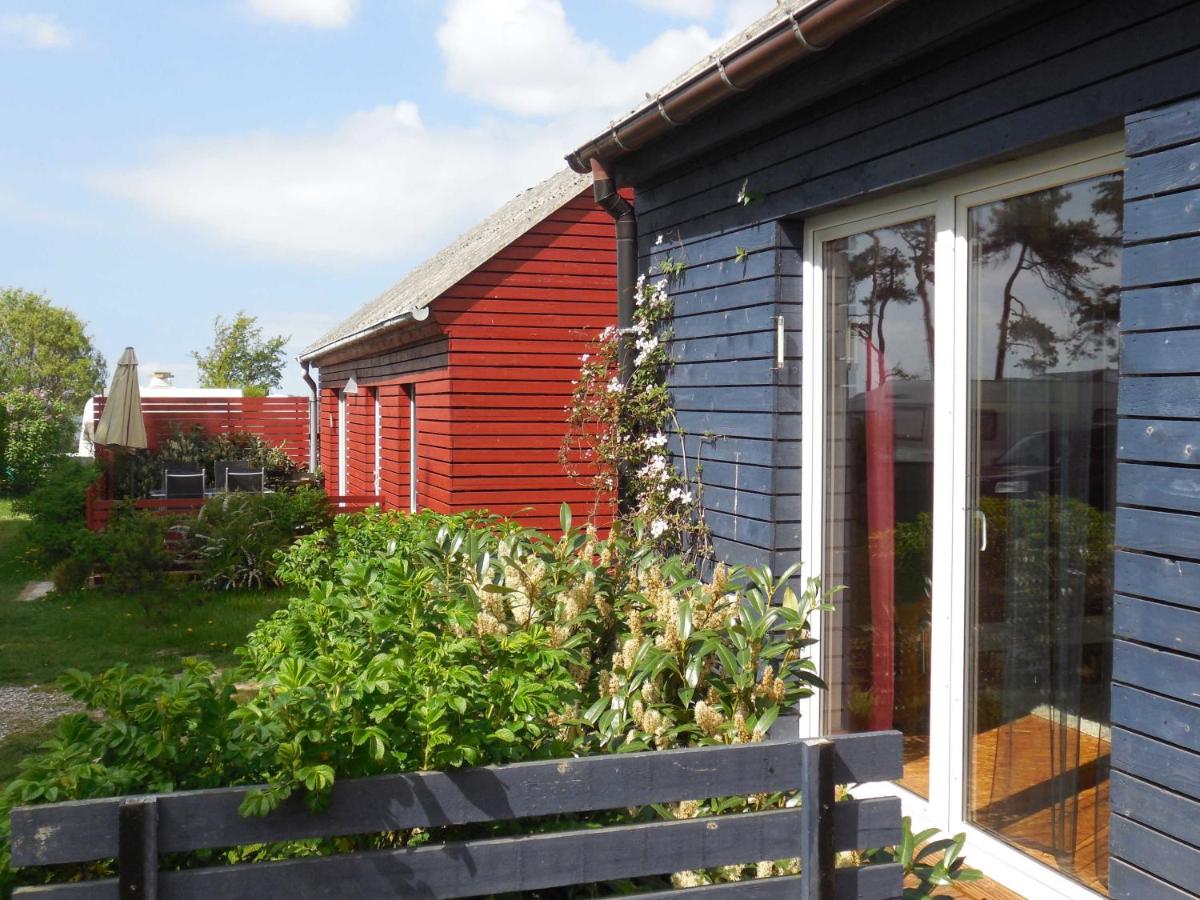 Rotes Strandhaus mit Boot am Salzhaff, 50m zum Strand - Housity