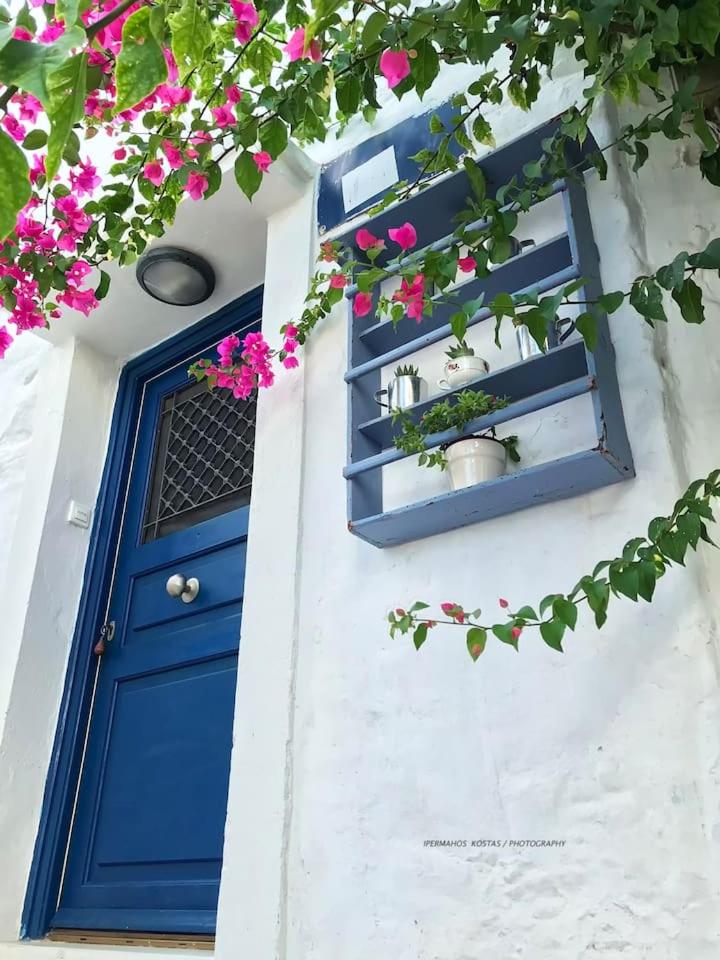 Next to the Bougainvillea! - Housity