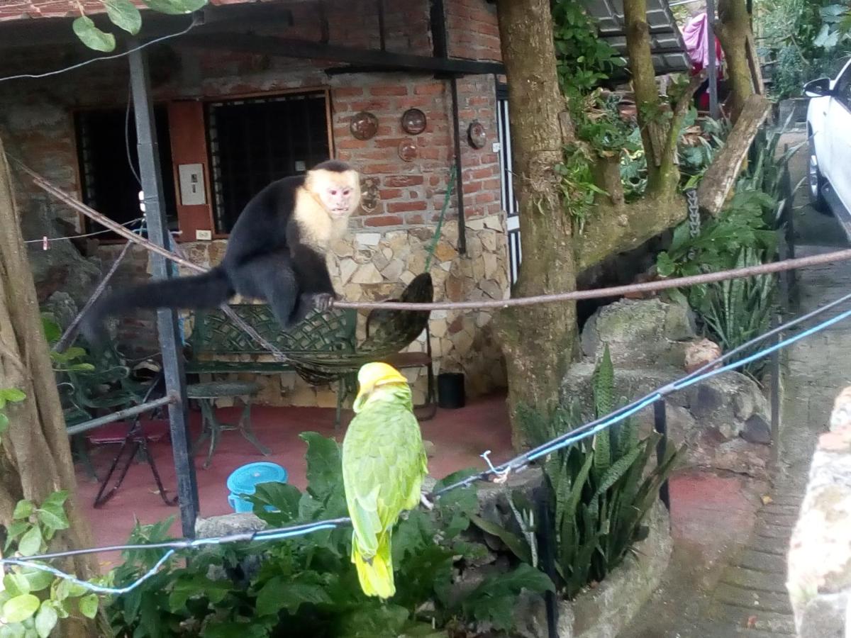 hostal Eco-Lodge La Chiponga - Housity