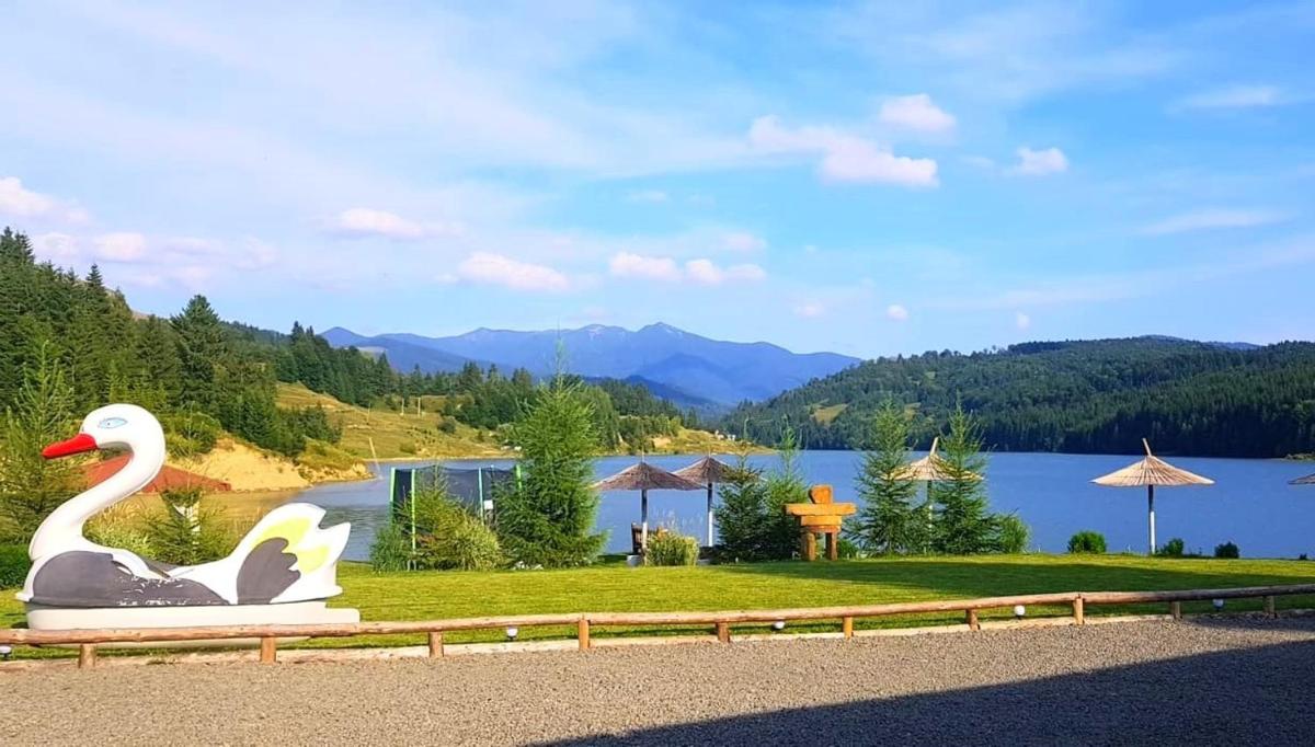 Modern rooms Colibita - Housity