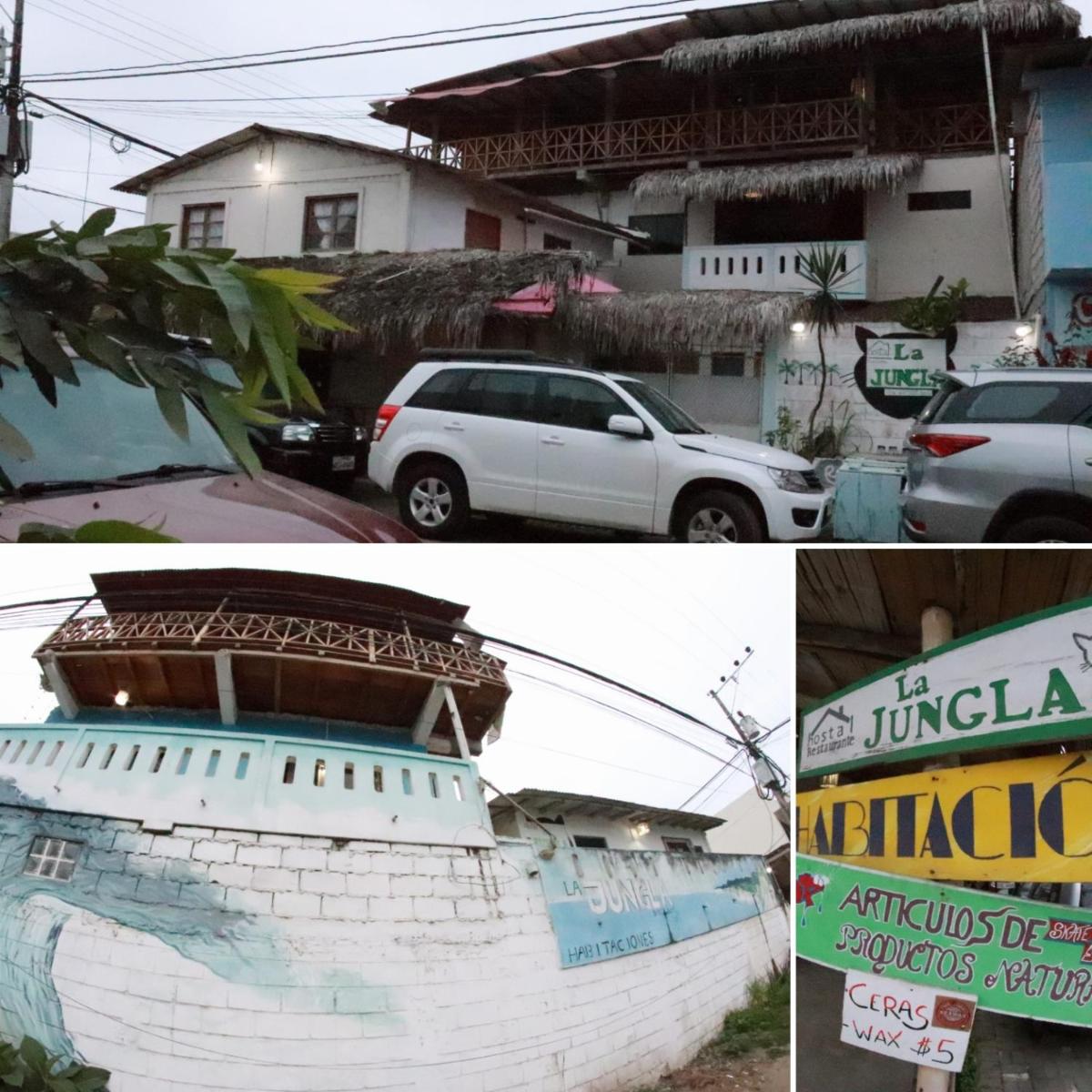 La Jungla - Housity