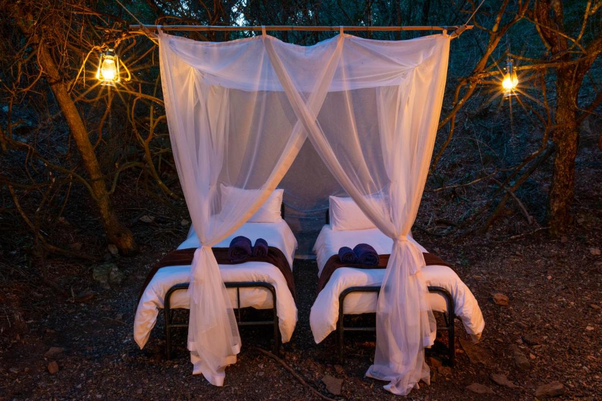 Suitetrails - Stargazer Safari Camp - Bellevue Forest Reserve