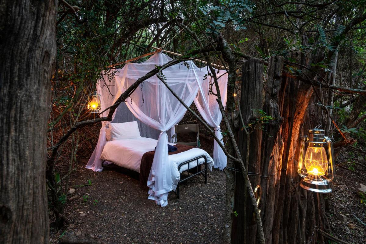 Suitetrails - Stargazer Safari Camp - Bellevue Forest Reserve