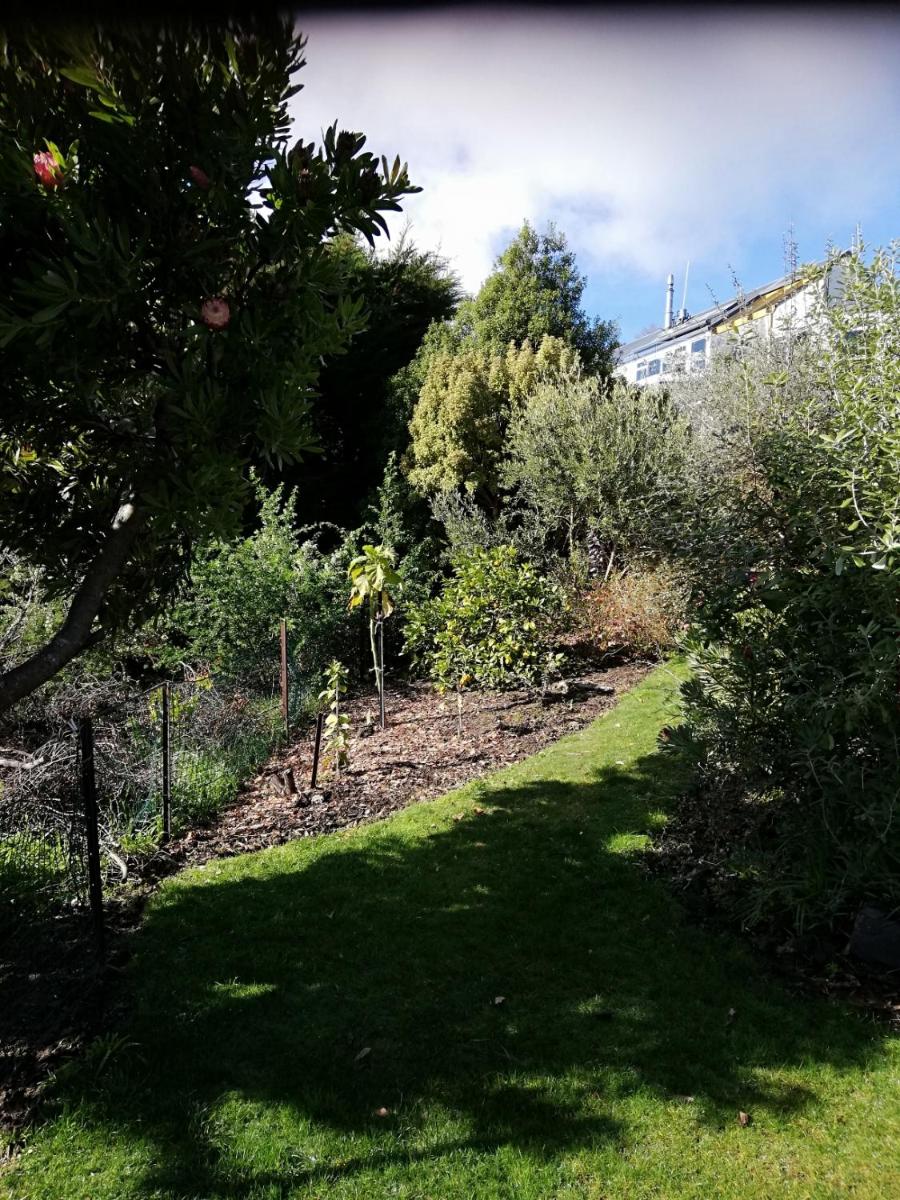 Suitetrails - Whaka Heights