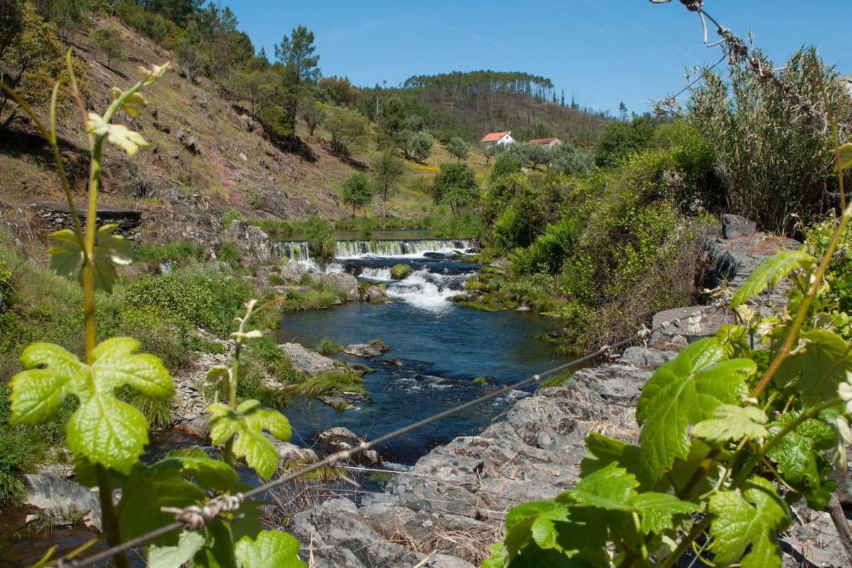 Azoka by the River- Proença-a-Nova - Housity