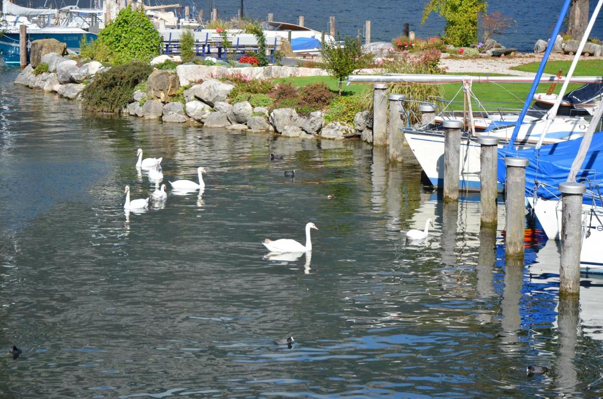 Wohnen am See Villa Schrötter direkt am Traunsee - Housity