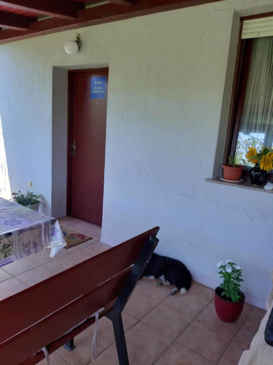 Apartment NATUR - Housity