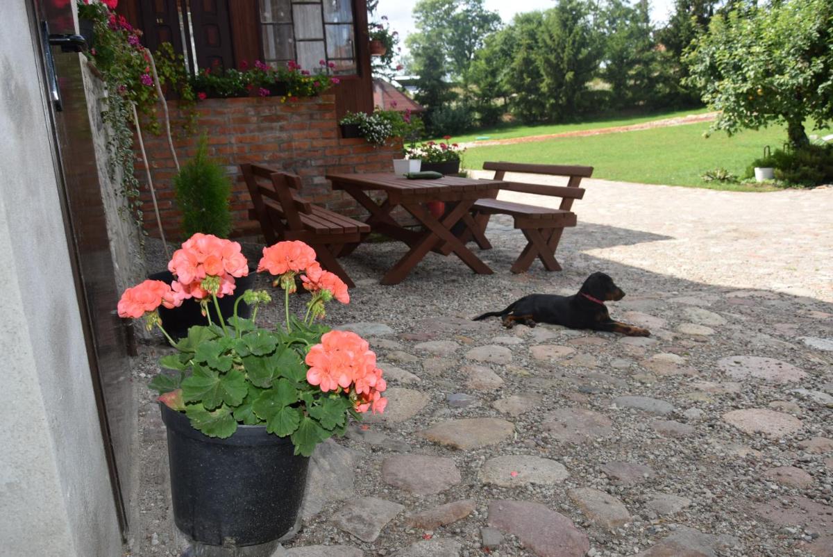 Agroturystyka u Ani - Housity