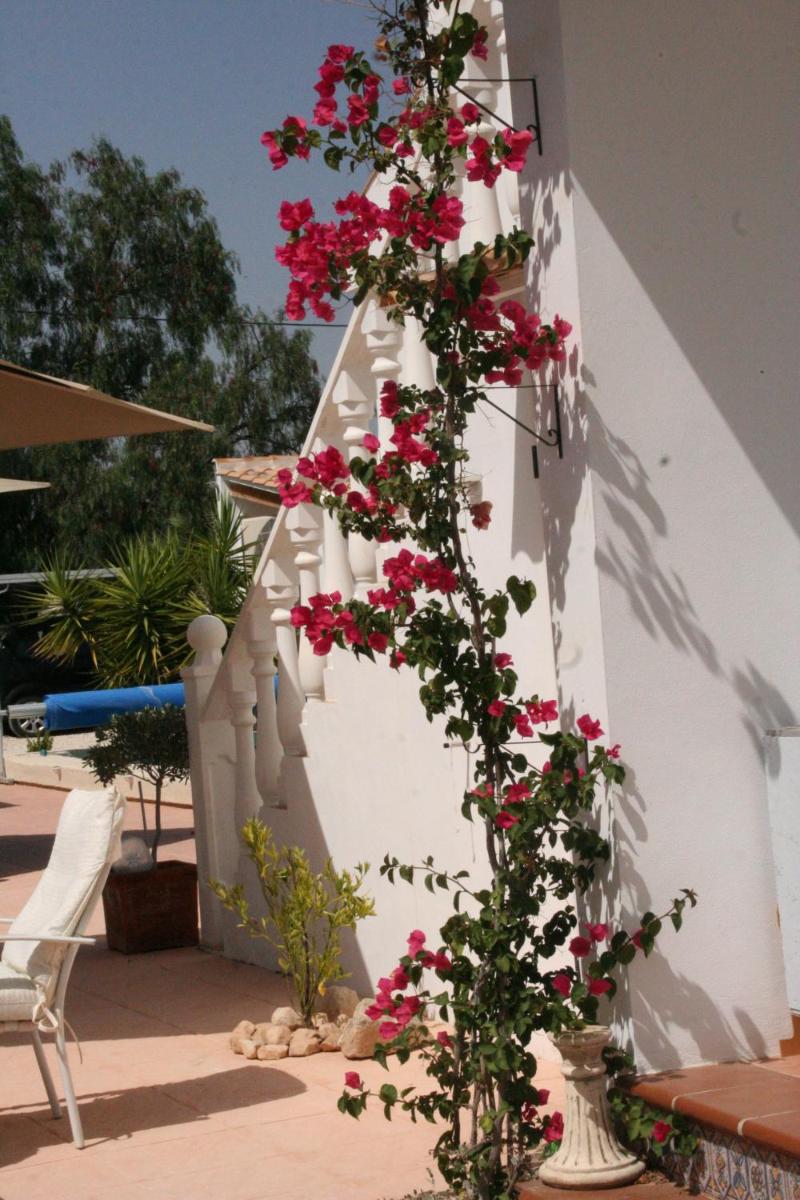 Pension - B&B Casa Alegria - Housity