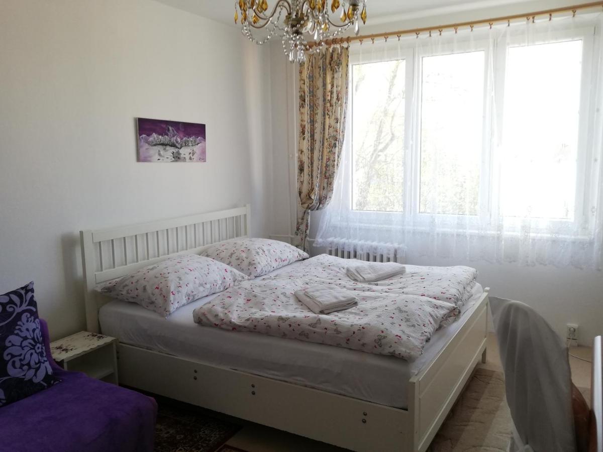 Apartments Meixner - Housity
