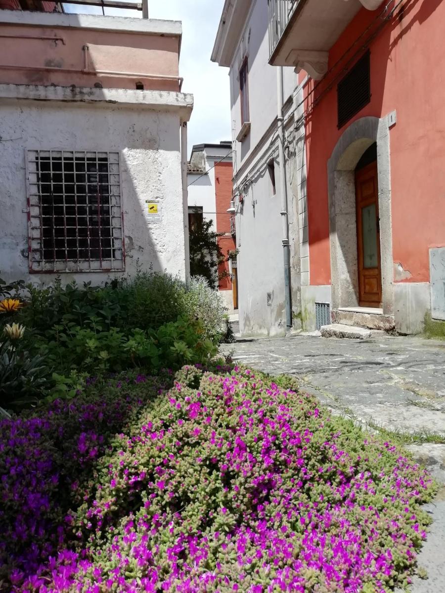 Melfi, città delle Costituzioni di Federico II - Casa vacanze - Housity