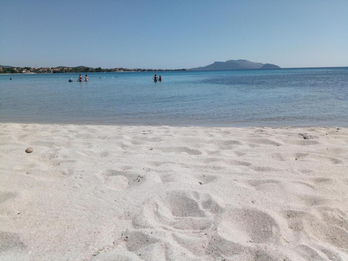 Olbia Center House - Housity