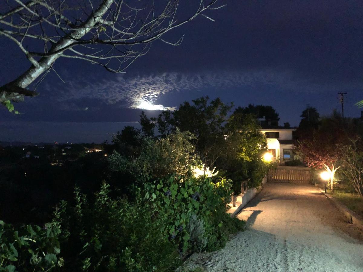 Villa Asinara - Housity