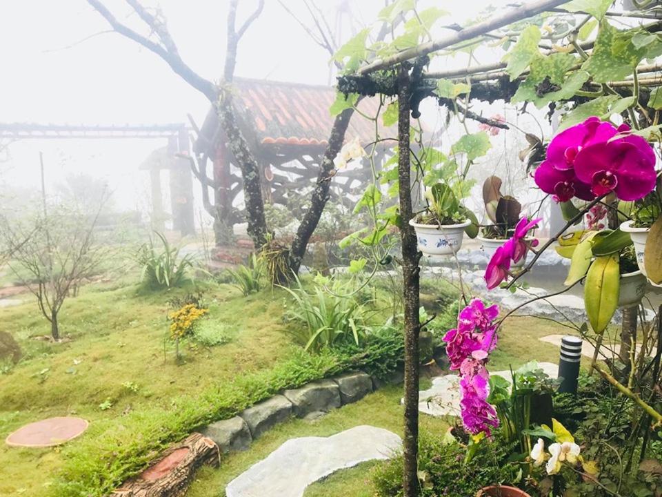 Homestay Discovery Sapa - Housity