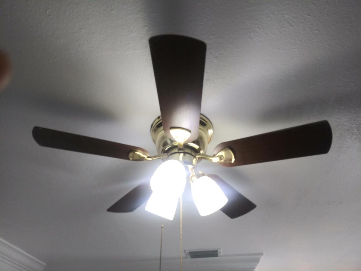 Tampa Citrus Park - Housity